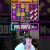 Mega Win on Dog House megaways slot