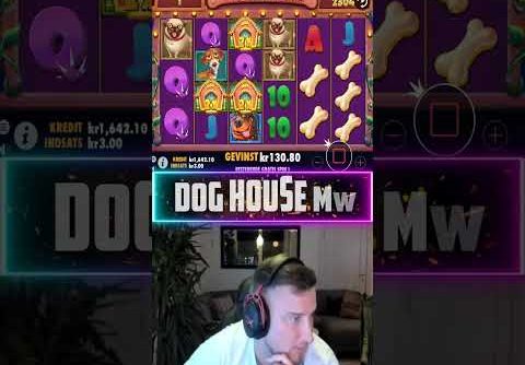 Mega Win on Dog House megaways slot