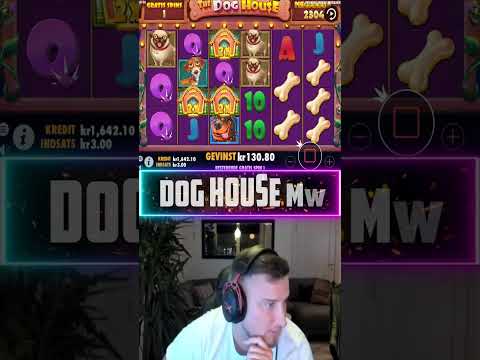 Mega Win on Dog House megaways slot