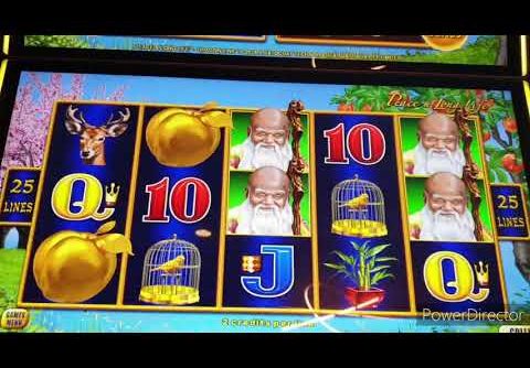 Last Spin Big Wins jackpot handpay pub pokies slots Australia max bet