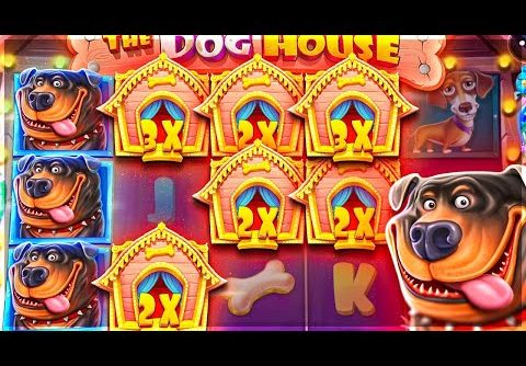 Casino Slot – TOP Dog House Megaways Mega wins of the week 🔥🤑 OMG!