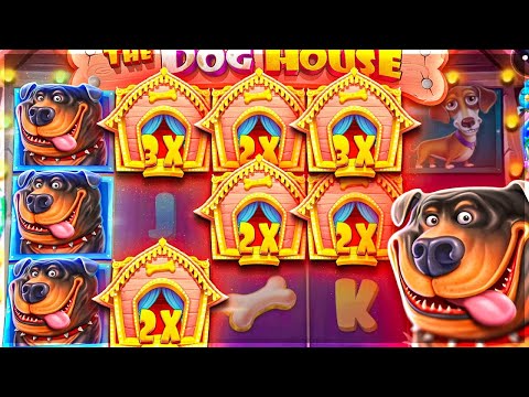 Casino Slot – TOP Dog House Megaways Mega wins of the week 🔥🤑 OMG!