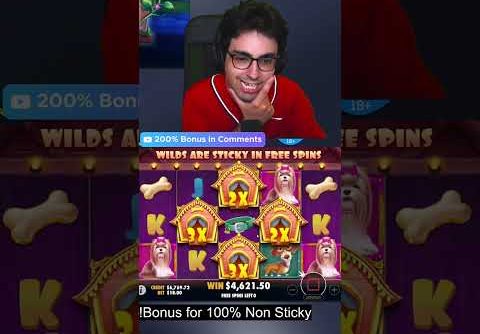 14.000$ DOG HOUE BIG WIN #Shorts #slots #casino #bigwin #gambling