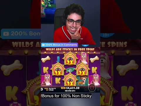 14.000$ DOG HOUE BIG WIN #Shorts #slots #casino #bigwin #gambling