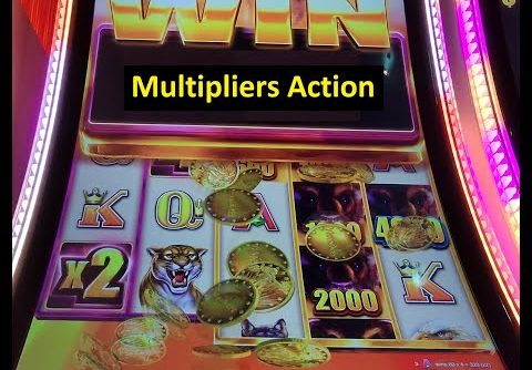 Huge Win!! Wild Wild Buffalo Slot! Aristocrat