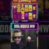 Insane Setup on Dog House mw slot! Record win of the week