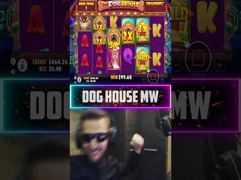 Insane Setup on Dog House mw slot! Record win of the week