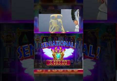 🎰 Gates of olympus big win (895 x) #pacanele #bigwin #slots