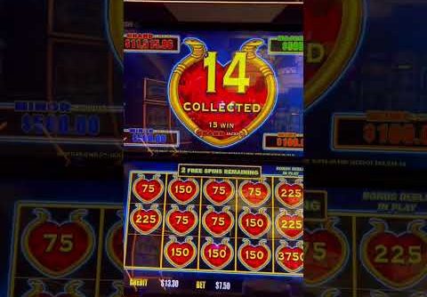 Dollar Storm Slot BIG WIN