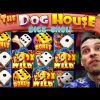 HUGE WIN 🎲 The Dog House DICE SHOW?! – What is this slot?