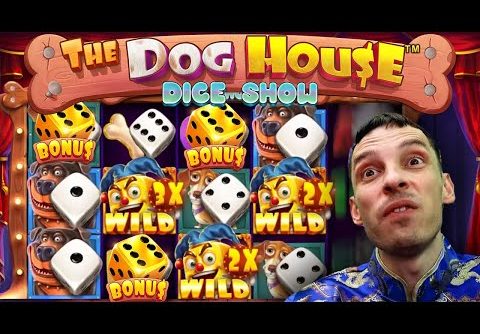 HUGE WIN 🎲 The Dog House DICE SHOW?! – What is this slot?