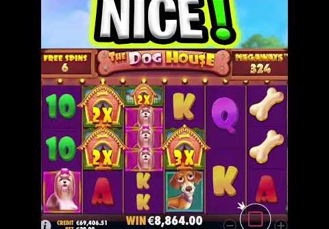 THE DOG HOUSE MEGAWAYS SLOT 🐶 MEGA BIG WIN TOP PAYING SYMBOLS LANDED‼️ #shorts