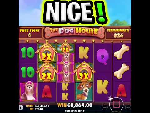 THE DOG HOUSE MEGAWAYS SLOT 🐶 MEGA BIG WIN TOP PAYING SYMBOLS LANDED‼️ #shorts