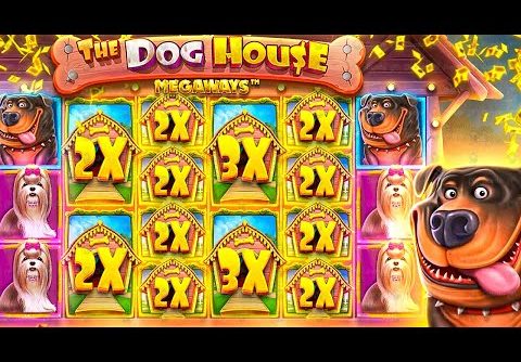 MY BIGGEST EVER WINS On DOG HOUSE MEGAWAYS!! ($30,000+ WIN)