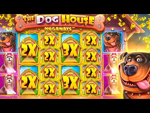 MY BIGGEST EVER WINS On DOG HOUSE MEGAWAYS!! ($30,000+ WIN)