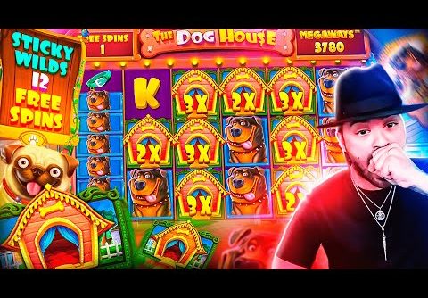 ROSHTEIN New Insane Win 88.000€ on The Dog House Megaways  Slot – TOP 5 Mega wins of the week