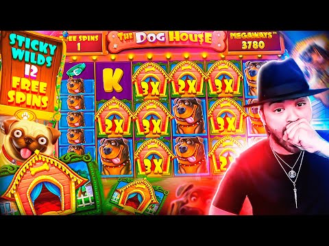 ROSHTEIN New Insane Win 88.000€ on The Dog House Megaways  Slot – TOP 5 Mega wins of the week