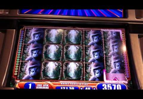 MEGA BIG WIN Queen of the Wild Slot Machine Bonus Round Free Spins