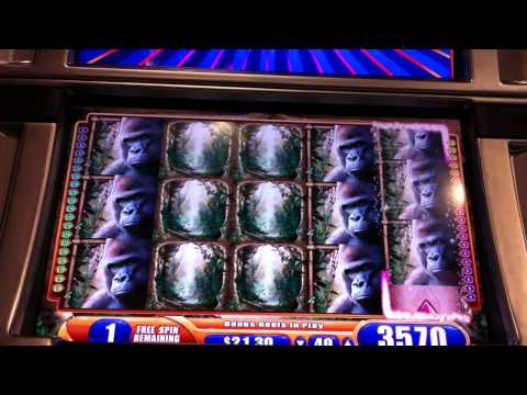 MEGA BIG WIN Queen of the Wild Slot Machine Bonus Round Free Spins