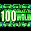 MAJOR FREE GAMES!! 100 GUARANTEED WILDS!! NEW REGAL RICHES Slot Machine (IGT)