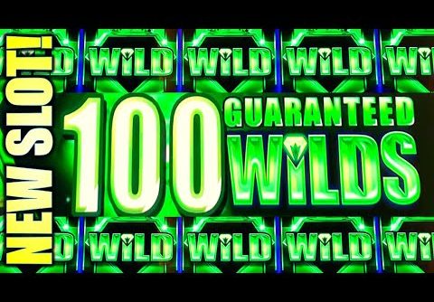 MAJOR FREE GAMES!! 100 GUARANTEED WILDS!! NEW REGAL RICHES Slot Machine (IGT)