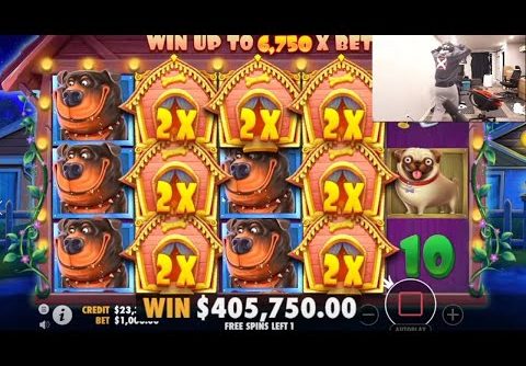 Xposed Gets RECORD WIN on Dog House Slot!!