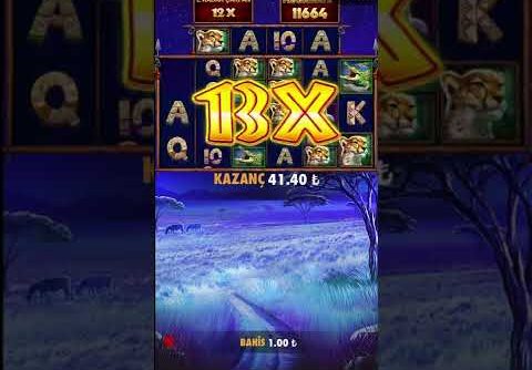 Great Rhino Megaways 4254x BİG WİN #slot #casino