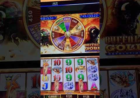 BIG WIN On Buffalo Gold Slot Machine #shorts
