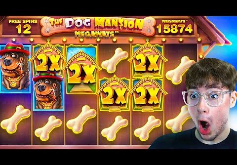 INSANE PROFITS On INCREASED RTP DOG HOUSE MEGAWAYS SLOT!!