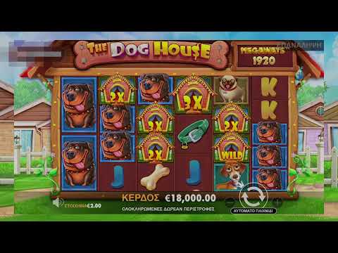 DOG HOUSE MEGAWAYS 💎💎 SUPER BIG WIN!!