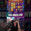 Big Win on Dog House Slot! Biggest win of the week