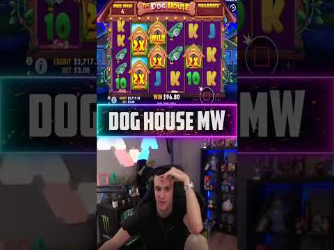 Big Win on Dog House Slot! Biggest win of the week