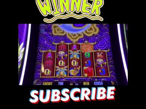 5 DRAGONS GOLD! SLOT BIG WIN! CASINO GAMBLING! #SHORTS