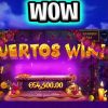 MY BIGGEST WIN EVER MUERTOS MULTIPLIER 🤑 SLOT EPIC RECORD SLOT WINS‼️ #shorts