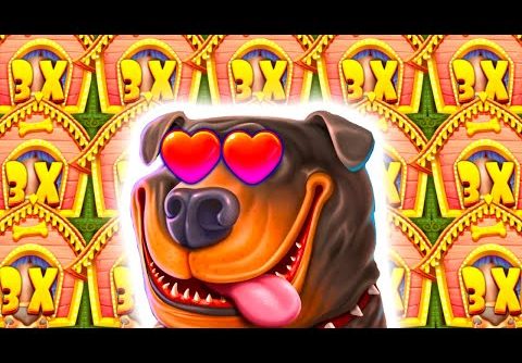 I DESTROYED THE DOG HOUSE MEGAWAYS 🐶 SLOT ULTRA MEGA BIG WINS 😱 MASSIVE PROFIT OMG‼️