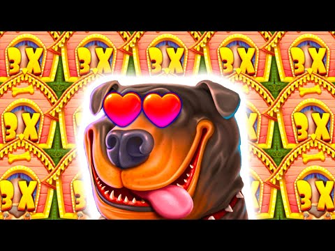 I DESTROYED THE DOG HOUSE MEGAWAYS 🐶 SLOT ULTRA MEGA BIG WINS 😱 MASSIVE PROFIT OMG‼️