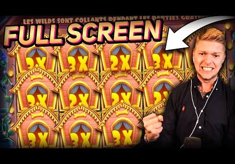 Streamer FULL SCREEN WILDS on the Dog House slot – Top 10 Biggest Wins of week
