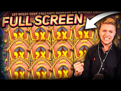 Streamer FULL SCREEN WILDS on the Dog House slot – Top 10 Biggest Wins of week