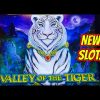 NEW SLOT! Valley of the Tiger.  Big Wins and Bonuses!