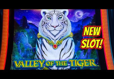 NEW SLOT! Valley of the Tiger.  Big Wins and Bonuses!