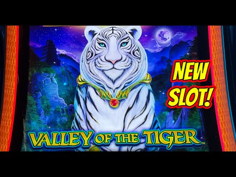 NEW SLOT! Valley of the Tiger.  Big Wins and Bonuses!