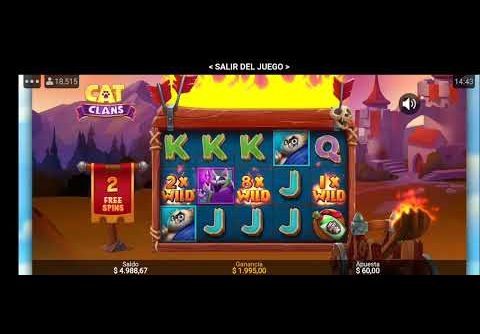 cat clans slot mega big win   3 wild