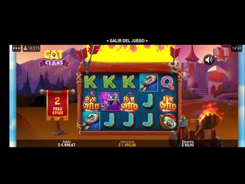 cat clans slot mega big win   3 wild