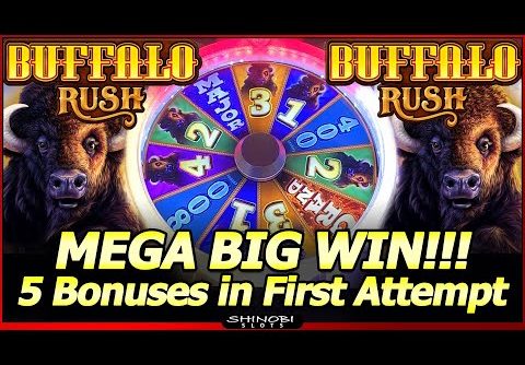 Buffalo Rush Slot – Mega Big Win in First Attempt!  5 Bonuses in New Aristocrat Slot Machine!