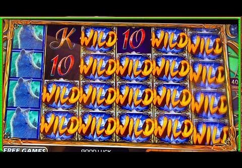 ** Great WIN ** Coyote Queen n Others ** SLOT LOVER **