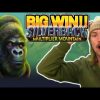 BIG WIN!! SILVERBACK MULTIPLIER MOUNTAIN BIG WIN – Casino slot win from Casinodaddy