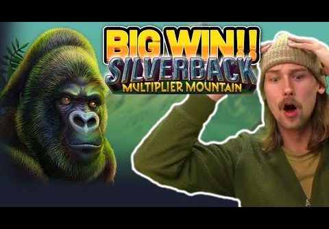 BIG WIN!! SILVERBACK MULTIPLIER MOUNTAIN BIG WIN – Casino slot win from Casinodaddy