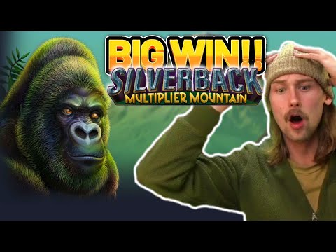 BIG WIN!! SILVERBACK MULTIPLIER MOUNTAIN BIG WIN – Casino slot win from Casinodaddy