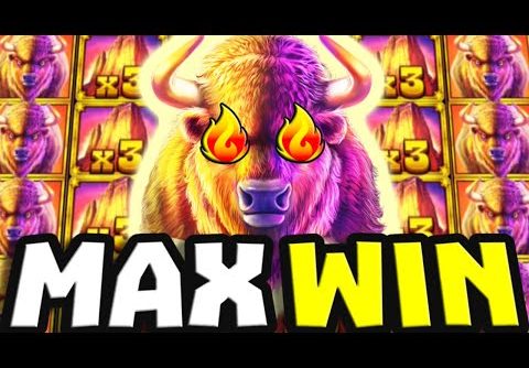 BUFFALO KING MEGAWAYS 🔥 SLOT MAX WIN 💥 YES WE DID IT ULTRA BIG WINS OMG‼️