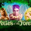 SUPER BIG WIN!! | MAX BET SLOT BONUS | Pixies of the Forest